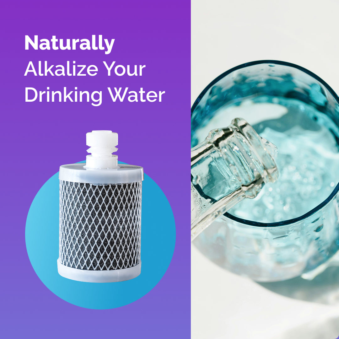 Filter Replacement for Starter Opti Chill Kit