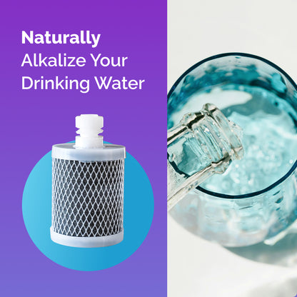 Filter Replacement for Starter Opti Chill Kit